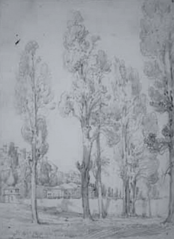  72-Barche sul Nilo 